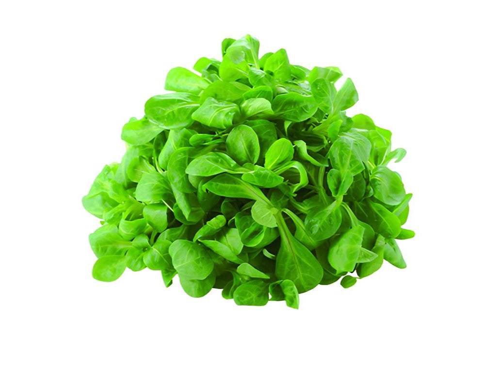 Mâche 100g