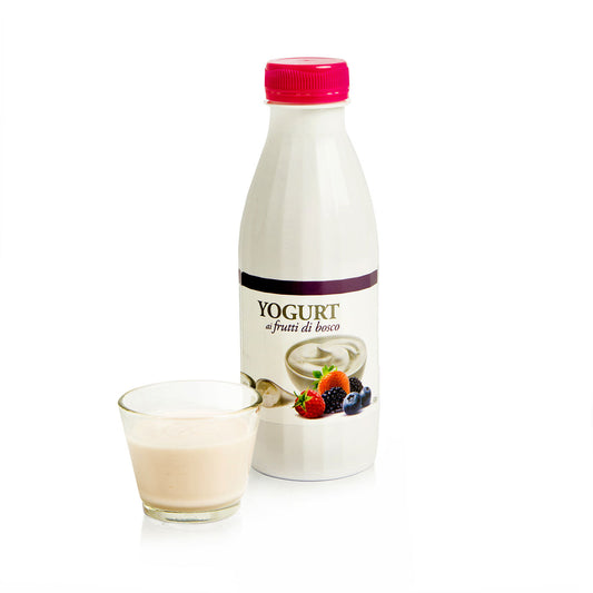 YOGURT FRUTTI DI BOSCO 500G