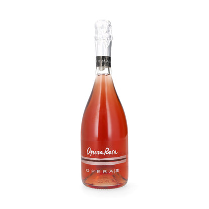 Lambrusco Grasparossa Di Castelvetro Rosa Brut DOP 0,75lt