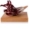 Radicchio tardif de Trévise 1kg