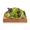 Salade Misticanza 100g