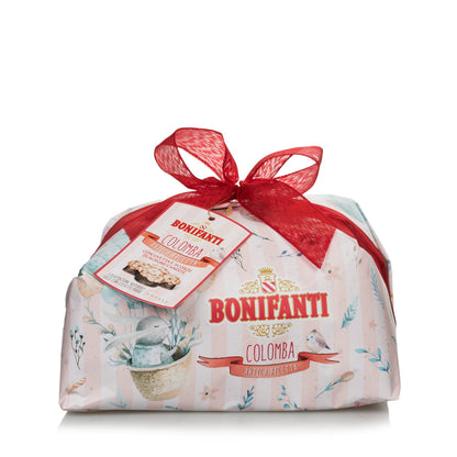 Colomba classique