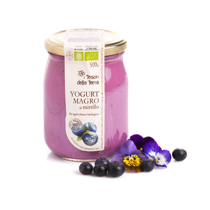 Yaourt à la myrtille 500g