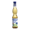 Sirop de fleurs de sureau 0,6lt