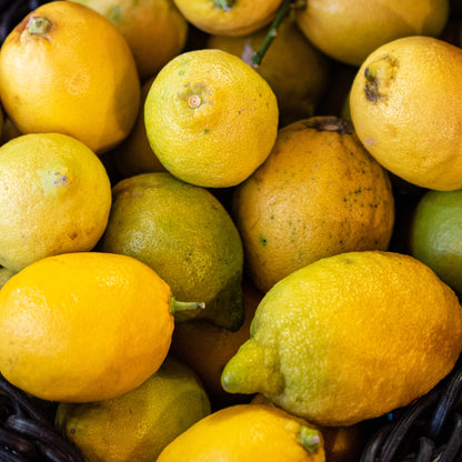 Citrons Costiera 1kg