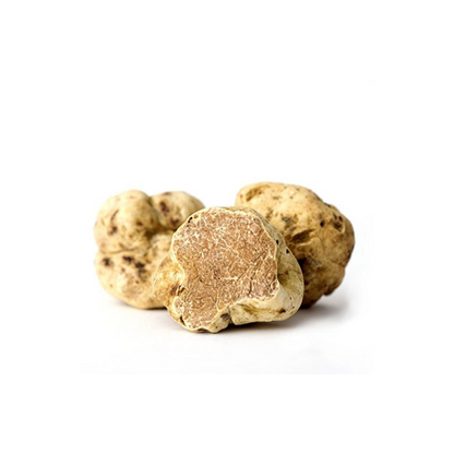 Truffe blanche fraîche d'Alba Tuber Magnatum Pico